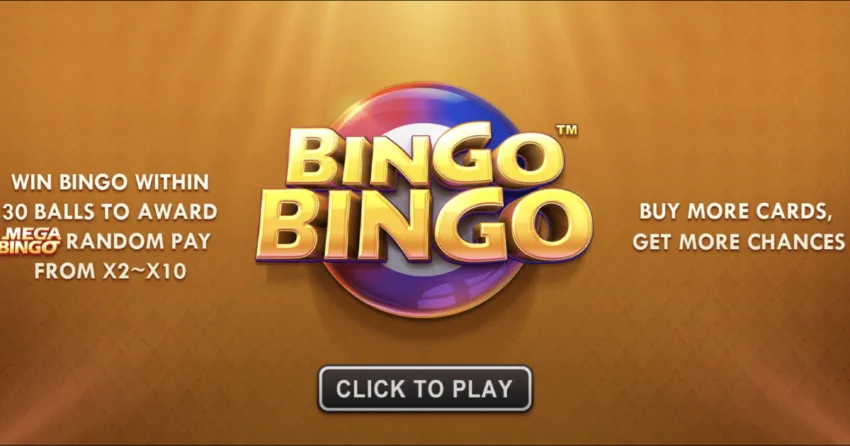 bingobingo YB Bingo Bingo
