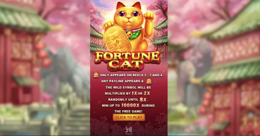 yb_fortunecat YB Fortune Cat